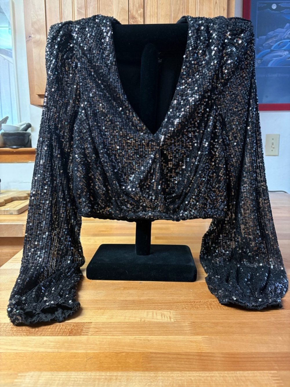 Lulu's Black Sequin V-Neck Cropped Top Long-Sleeve, Large